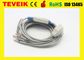 ECG cable with integrated 10 lead wires for Fukuda ME EKG machine